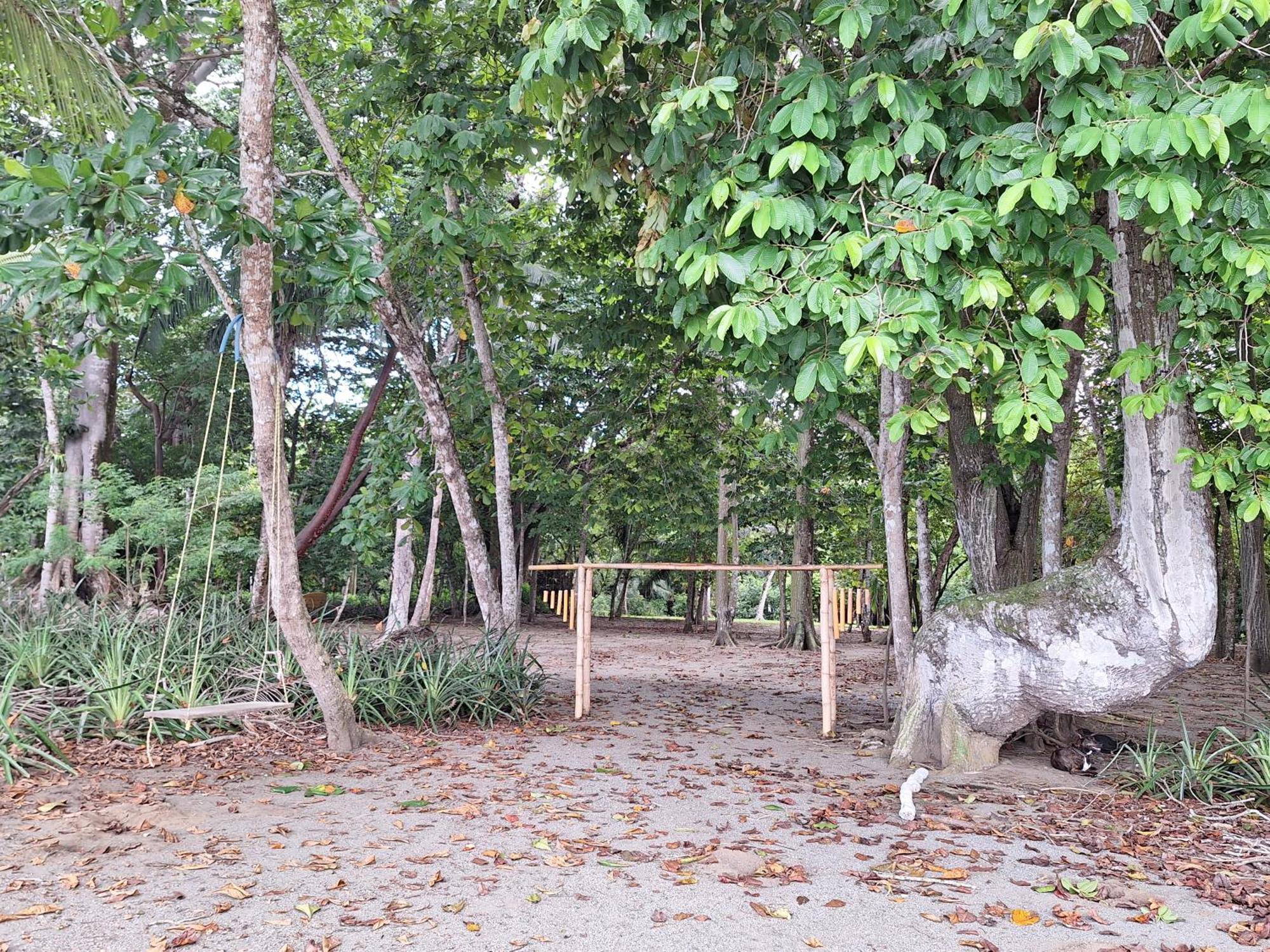 Four Monkeys Eco Lodge - Jungle & Beach Cabo Matapalo Экстерьер фото