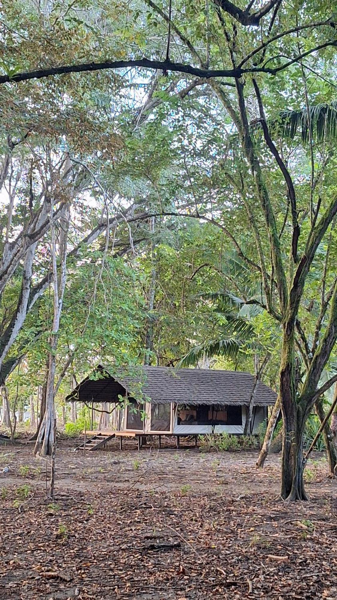 Four Monkeys Eco Lodge - Jungle & Beach Cabo Matapalo Экстерьер фото
